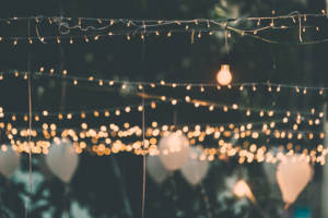 Lighting at a wedding after-party