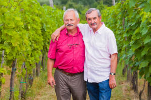 two gay men in a vineyard with an arm around the other