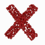 X formed from red rosebuds