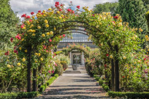 path through garden