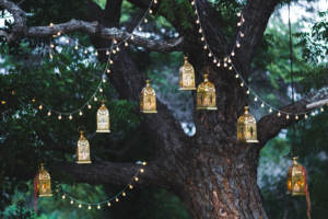 Fairy lights hung up in trees are one of the exciting trends for same-sex weddings