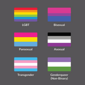 Six different pride flags