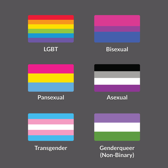 - Blog ArchivePride Flags 101: A Quick Guide