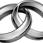 connected wedding bands