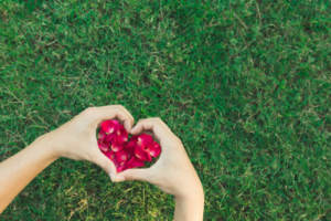 A person making a heart with their hands around flowers in grass at a green wedding