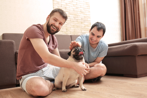 gay couple whose relationship is ready for a pet