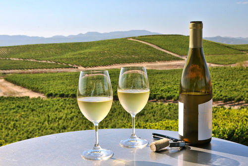 Two glasses of white wine next to a bottle on a table overlooking a vinyard in Napa, CA, a LGBTQ-Friendly Honeymoon destination.