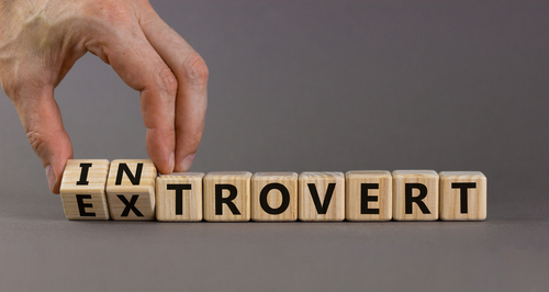blocks spelling introvert and extrovert